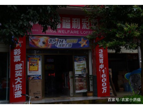 羊安镇彩票店电话多少啊